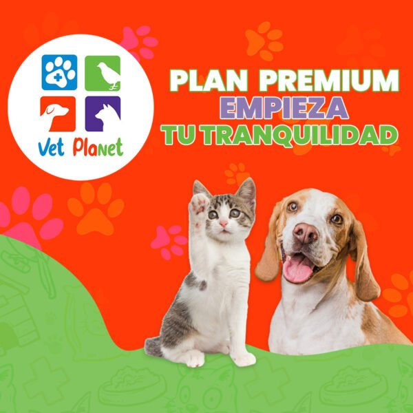 Plan Gold