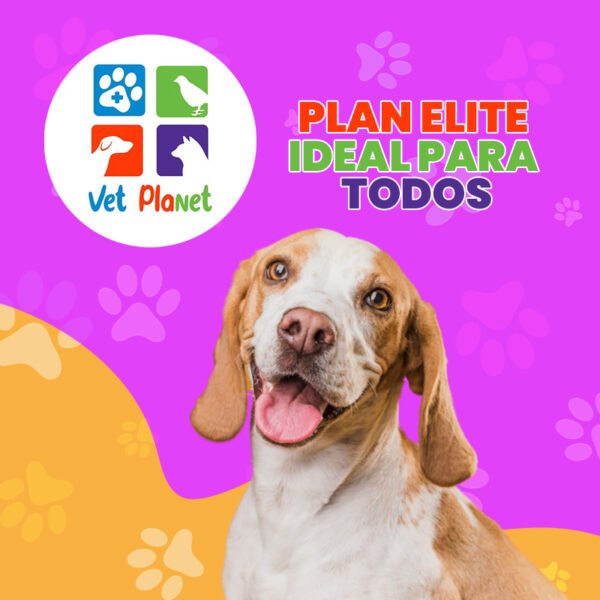 Plan Elite