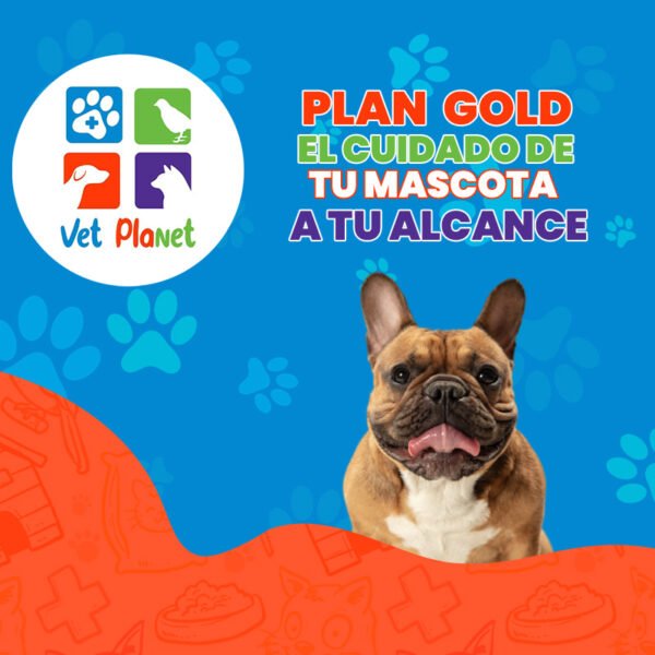 Plan Premium